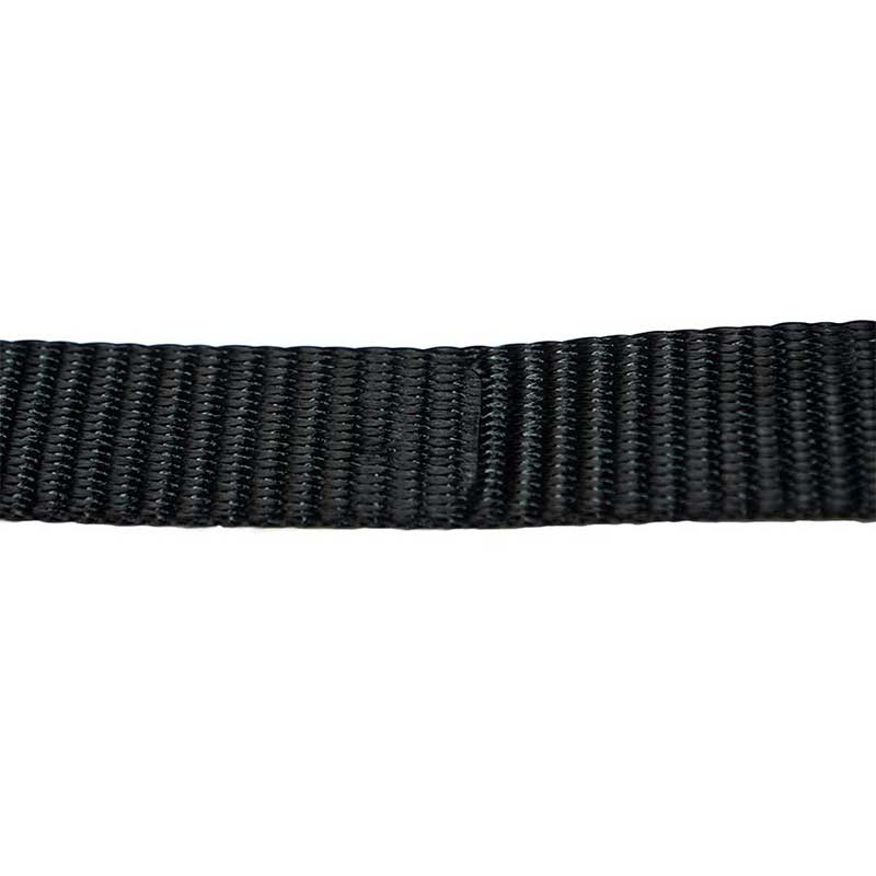 De 1 X 10' zwarte eindeloze ratelriem