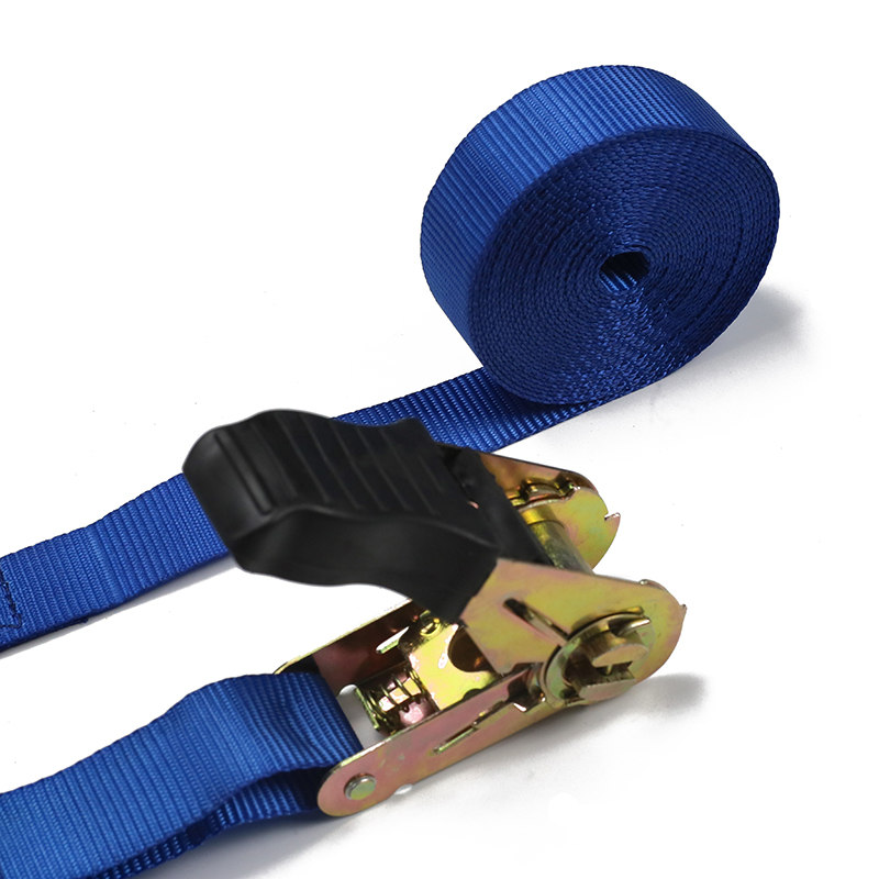 De 25 mm ratelriemen Europese Type S-haak