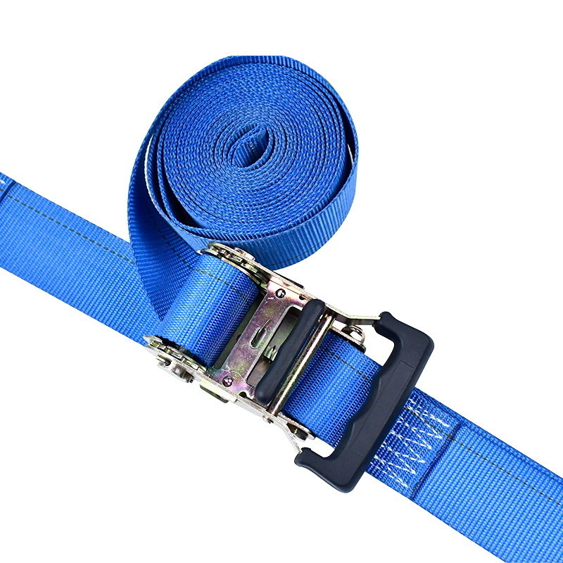 De 2'' X 12' standaard 4' E-Track ratelriem met vast uiteinde